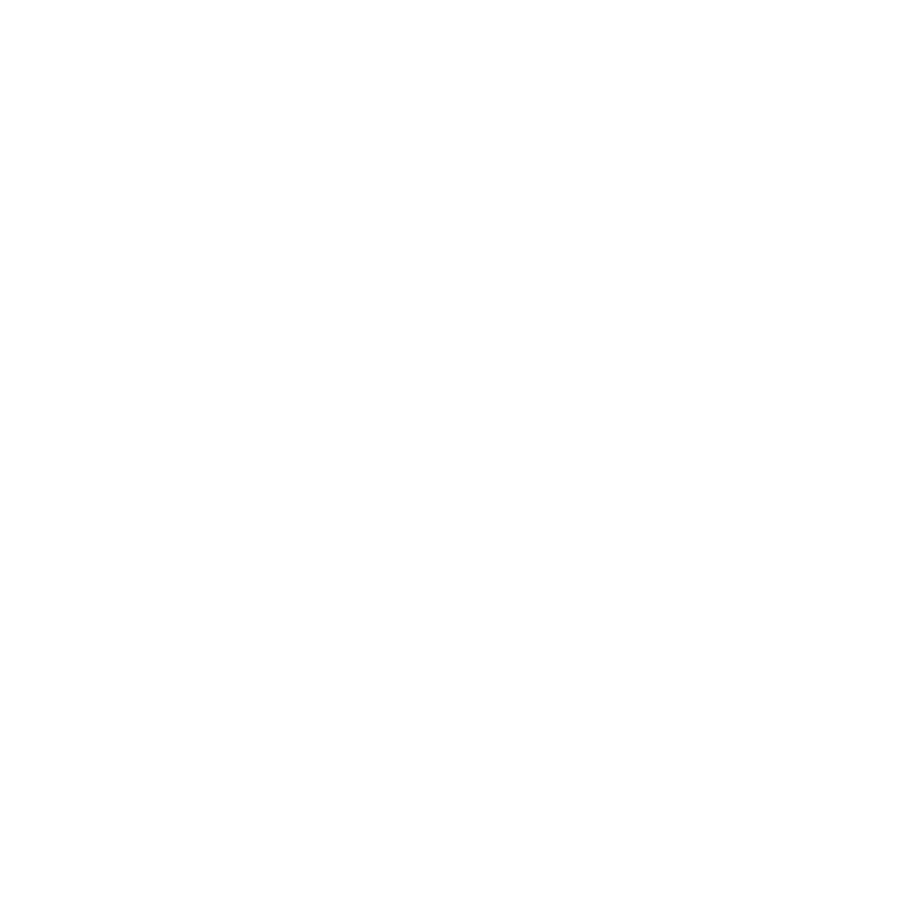 UFC Logo